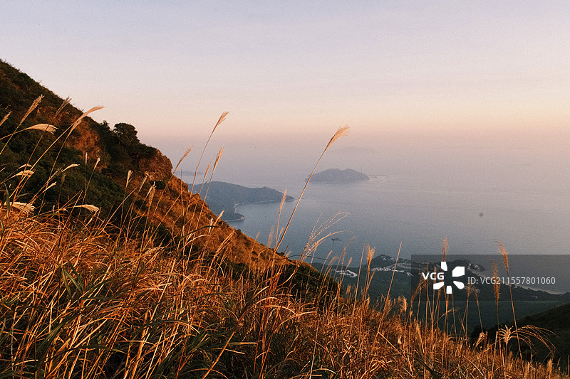 香港凤凰山日落芒草图片素材