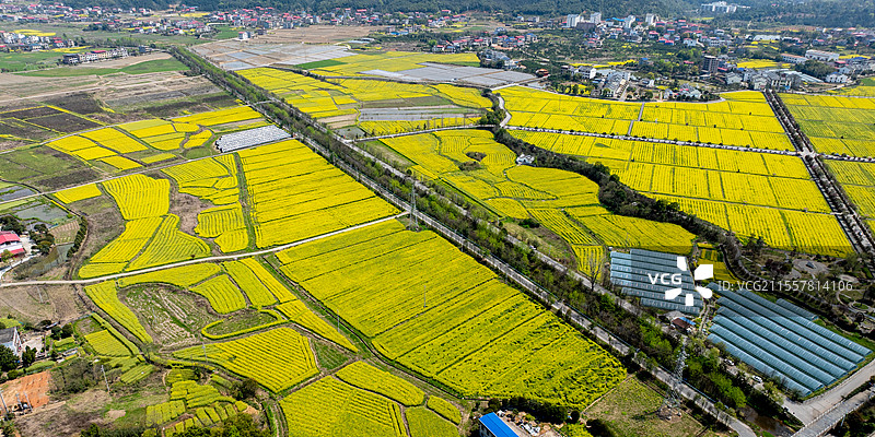 湖南省郴州市安仁县稻田公园图片素材