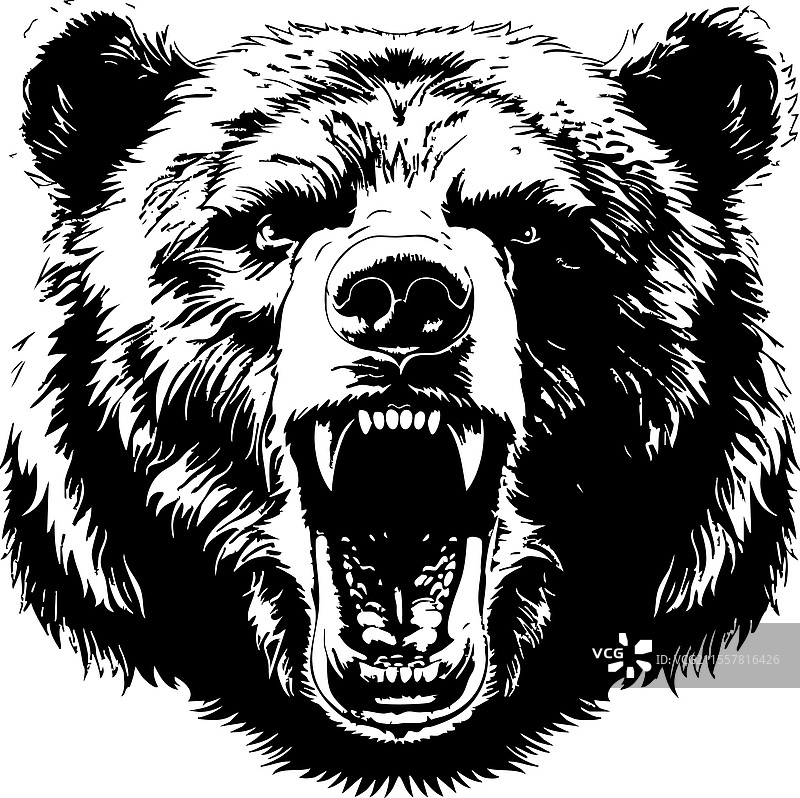 细致的单色咆哮熊头图片素材