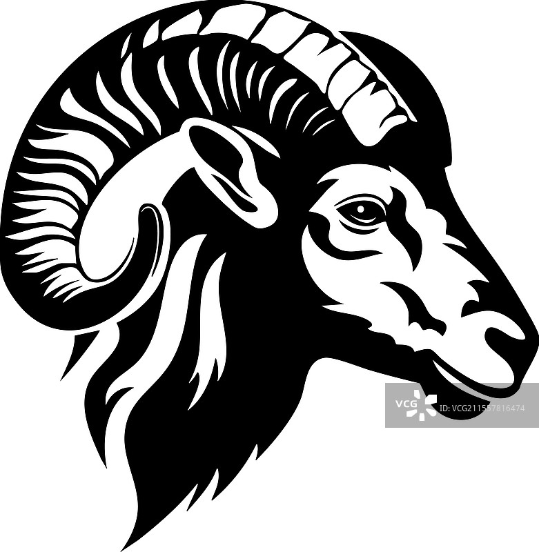 大角羊头部的单色野生动物图像图片素材