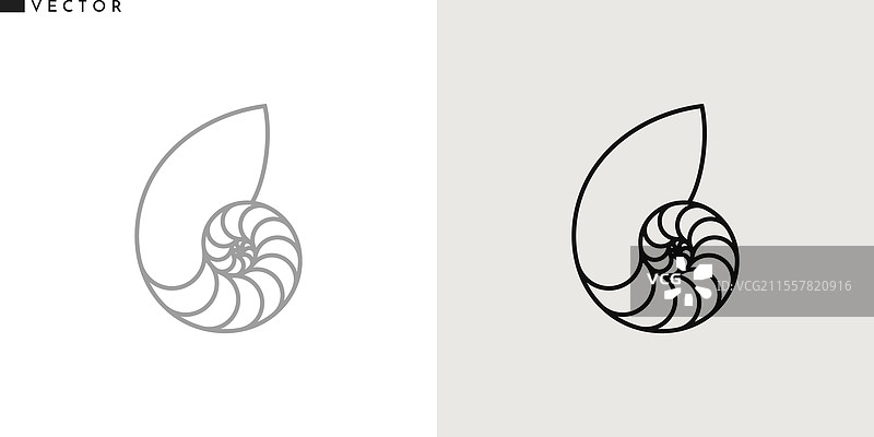 鹦鹉螺壳图标图片素材