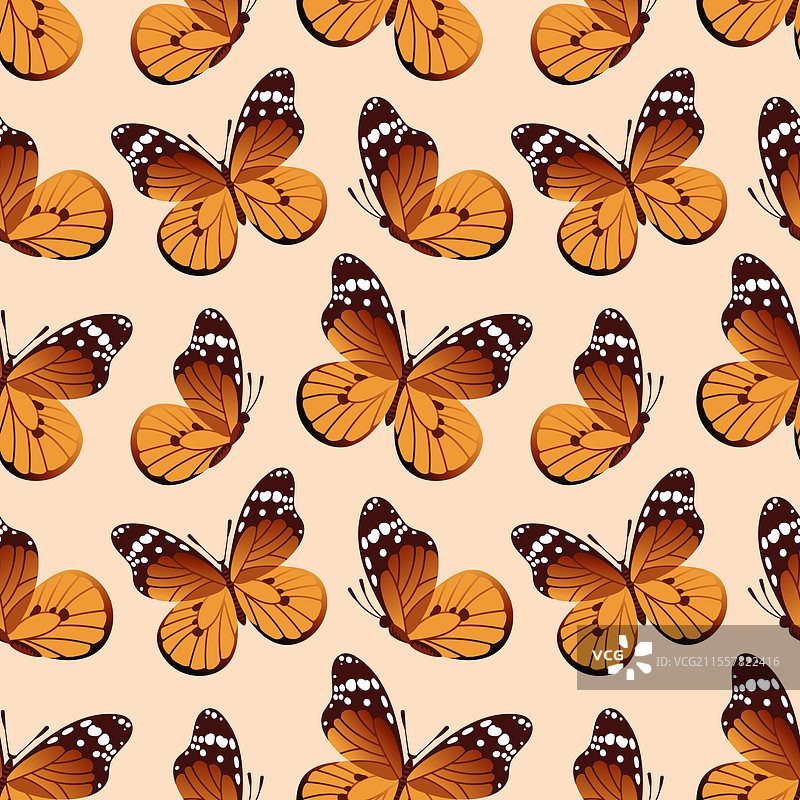 无缝图案的君主蝶（Danaus）图片素材