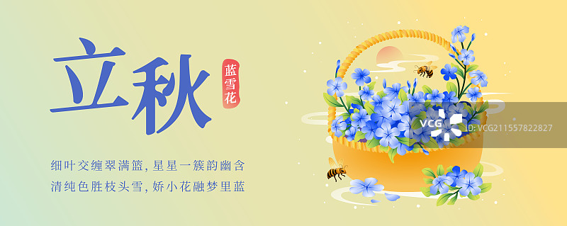 新中式二十四节气立秋花信风之蓝雪花矢量插画海报图片素材
