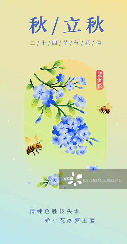 新中式二十四节气立秋花信风之蓝雪花矢量插画海报图片素材