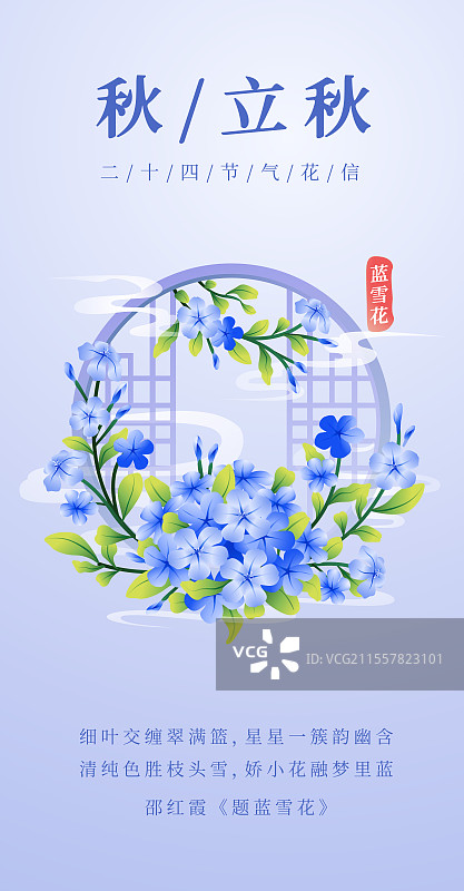 新中式二十四节气立秋花信风之蓝雪花矢量插画海报图片素材