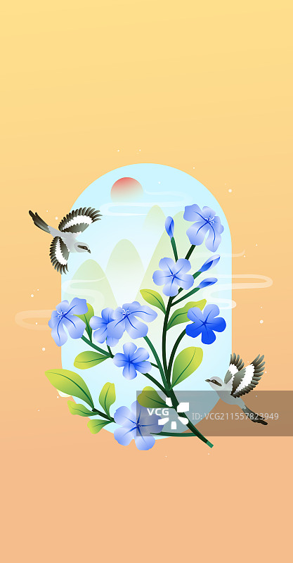 立秋花信风之蓝雪花矢量插画图片素材