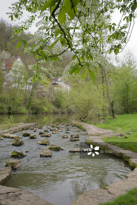 科赫谷的鱼梯，四月，春季，施韦比希哈尔，霍恩洛赫，海尔布隆-弗兰肯，巴登-符腾堡，德国，欧洲图片素材