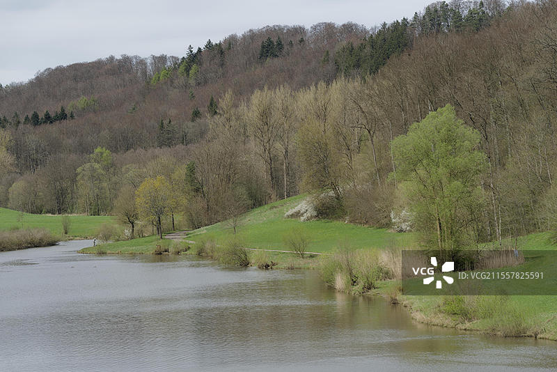 德国巴登-符腾堡州，霍恩洛赫，施瓦本-弗兰肯森林自然公园，施瓦本霍尔，瓦尔登堡山脉，瓦尔登堡-赛拉赫，米歇尔费尔德-格纳登塔尔，格纳登塔尔水库，赛拉赫水库，春天的景色图片素材
