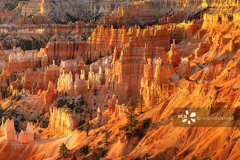 布莱斯峡谷国家公园的布莱斯圆形剧场在日出时分，科罗拉多高原，犹他州，美国，北美图片素材