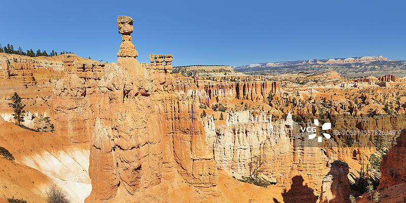 雷神之锤，布莱斯峡谷国家公园，犹他州，美国，布莱斯峡谷，犹他州，美国，北美图片素材