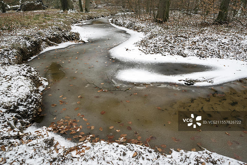 罗特巴赫,近自然溪流,山毛榉森林,冰雪覆盖,位于博特罗普和奥伯豪森之间,鲁尔区,北莱茵-威斯特法伦州,德国,欧洲图片素材