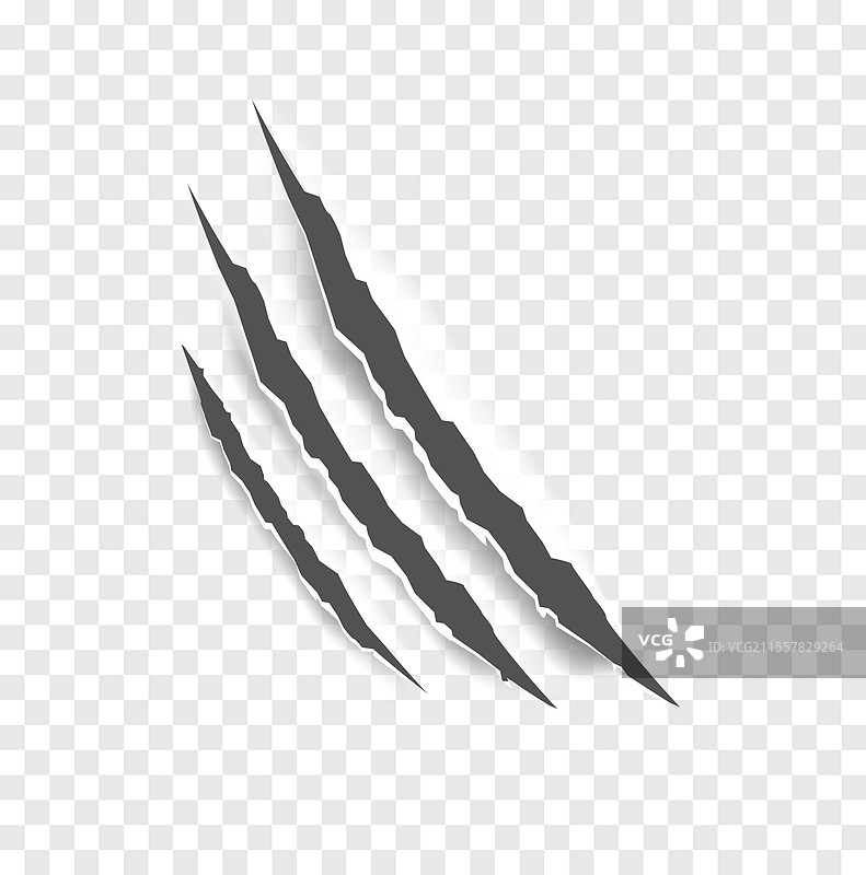 黑色爪痕 - 独立的爪子图片素材