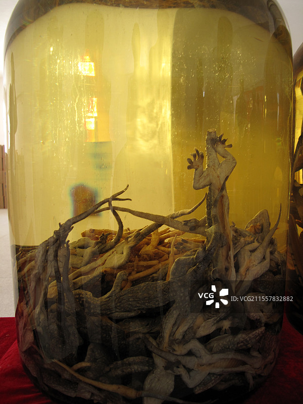 广西百色市德保县蛤蚧酒厂图片素材