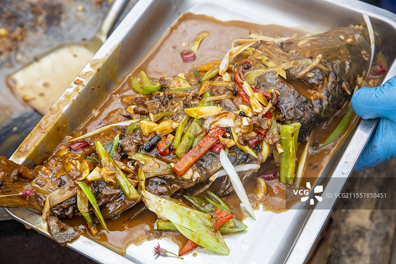 地锅鱼，黄河大鲤鱼，鱼图片素材