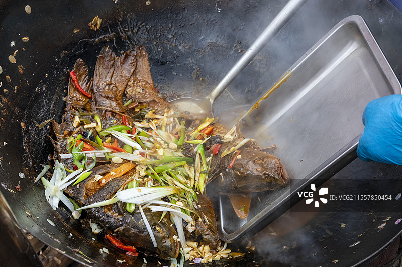 地锅鱼，黄河大鲤鱼，鱼图片素材