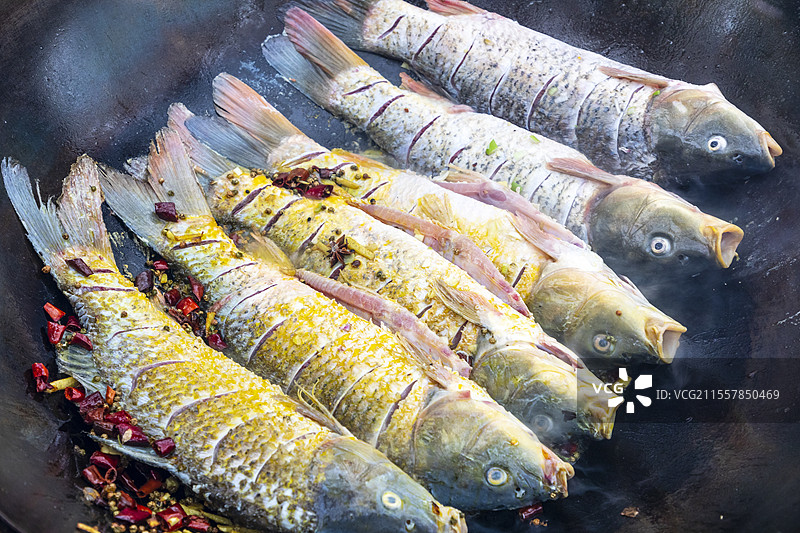 地锅鱼，黄河大鲤鱼，鱼图片素材