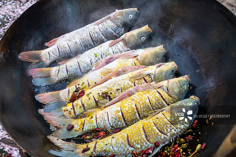 地锅鱼，黄河大鲤鱼，鱼图片素材