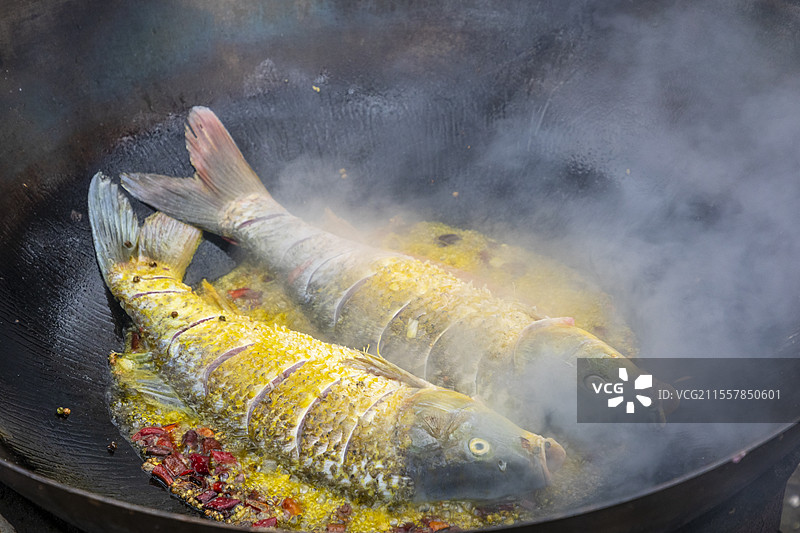 地锅鱼，黄河大鲤鱼，鱼图片素材
