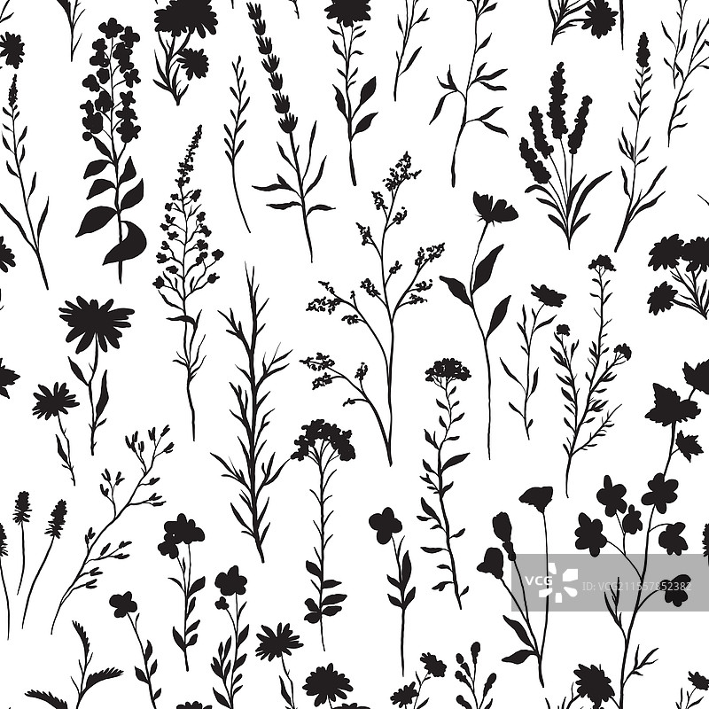 无缝轮廓图案与野花图片素材