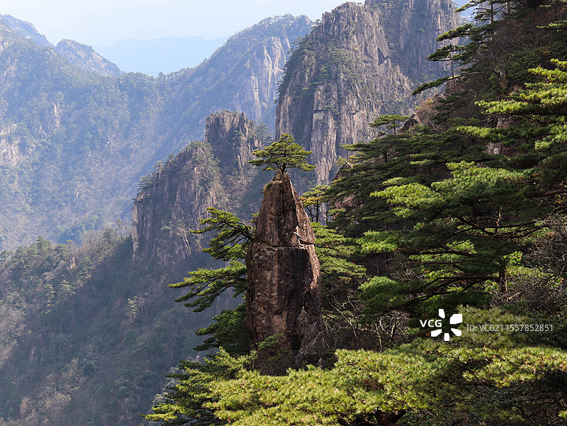 安徽黄山著名景点“妙笔生花”，青脆秀美图片素材