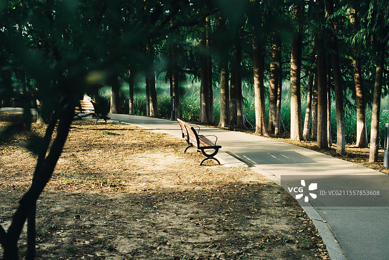 公园里的长椅图片素材
