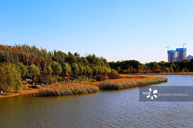 长春北湖湿地公园美丽的秋色图片素材