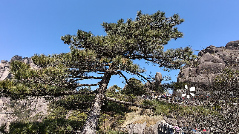 安徽省黄山市黄山风景区的山顶风景图片素材