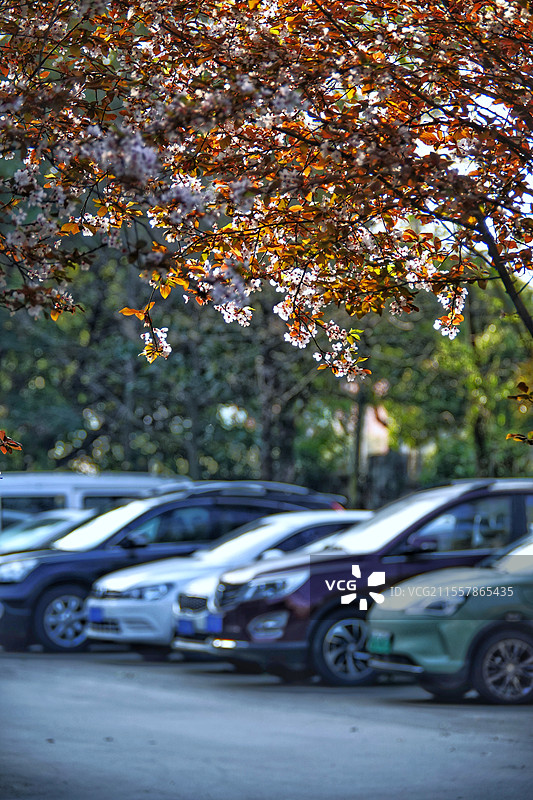 停车场五角大楼图片素材