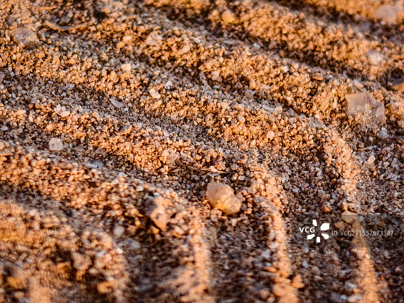 沙粒微距特写图片素材