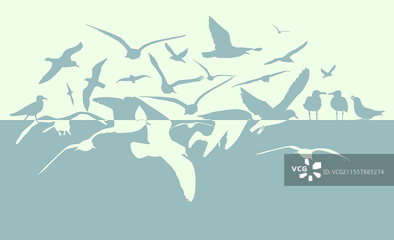 手绘的海鸥与海洋背景，不是人工智能生成的。图片素材