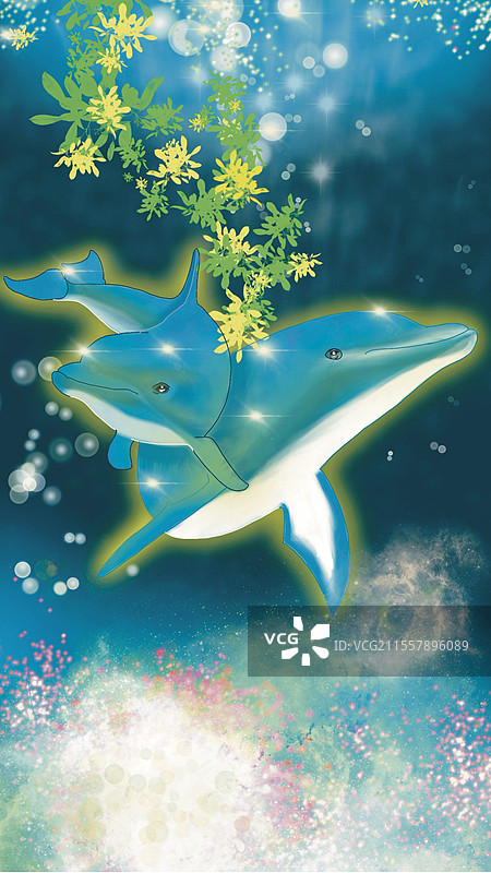 海豚母子图片素材