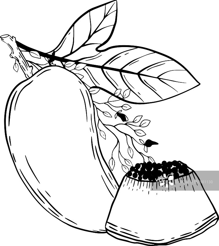 一颗色彩鲜艳的美味芒果图片素材