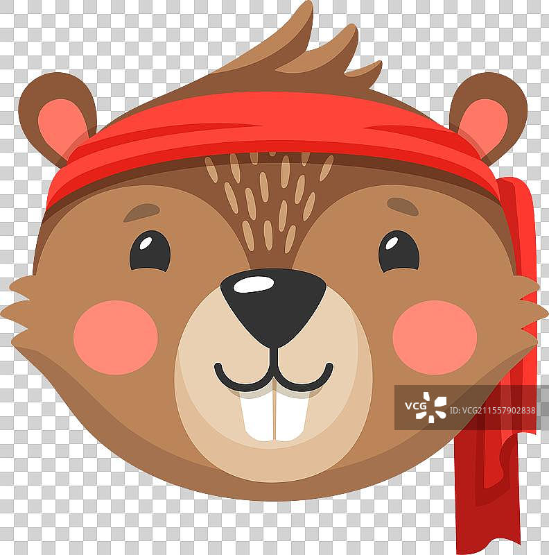 卡通海狸动物海盗与私掠者角色图片素材