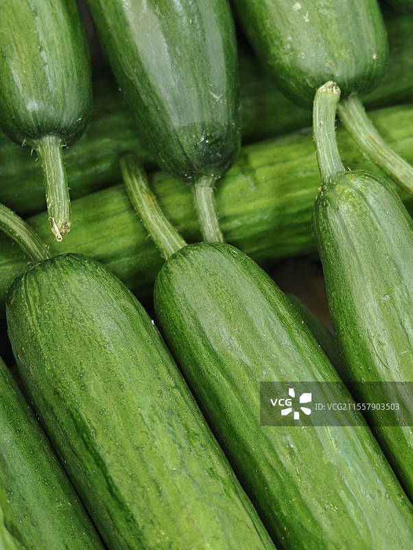 排列整齐的绿色黄瓜图片素材