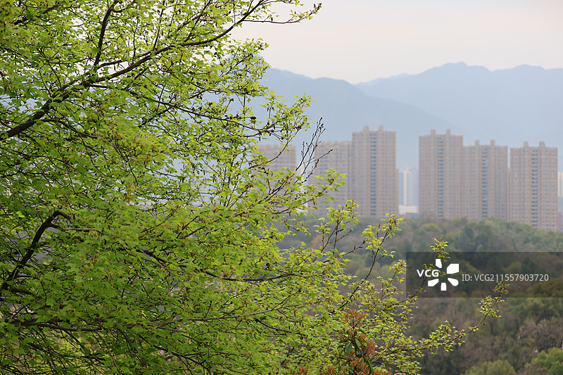 江西九江南山公园山顶城市传统文化高层建筑远景全景特写图片素材