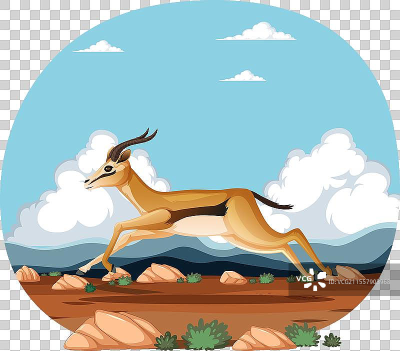 一只在自然中奔跑的瞪羚图片素材