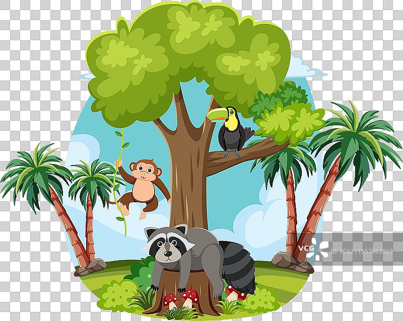 色彩斑斓的动物在郁郁葱葱的热带环境中图片素材