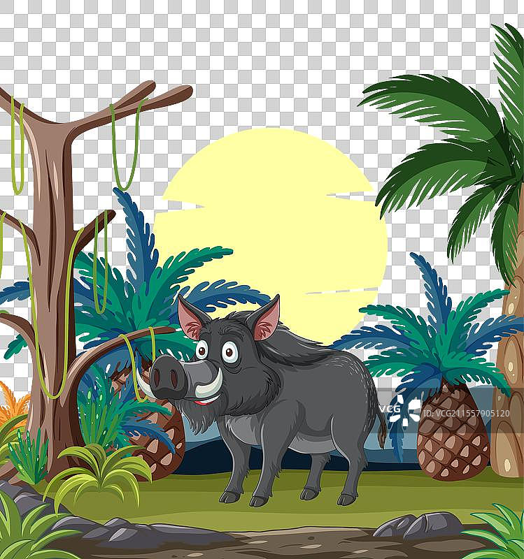 一只快乐的野猪在郁郁葱葱的丛林中图片素材