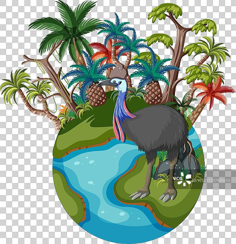 在郁郁葱葱的热带岛屿上行走的鸸鹋图片素材