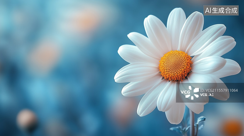 【AI数字艺术】白色雏菊的特写镜头图片素材