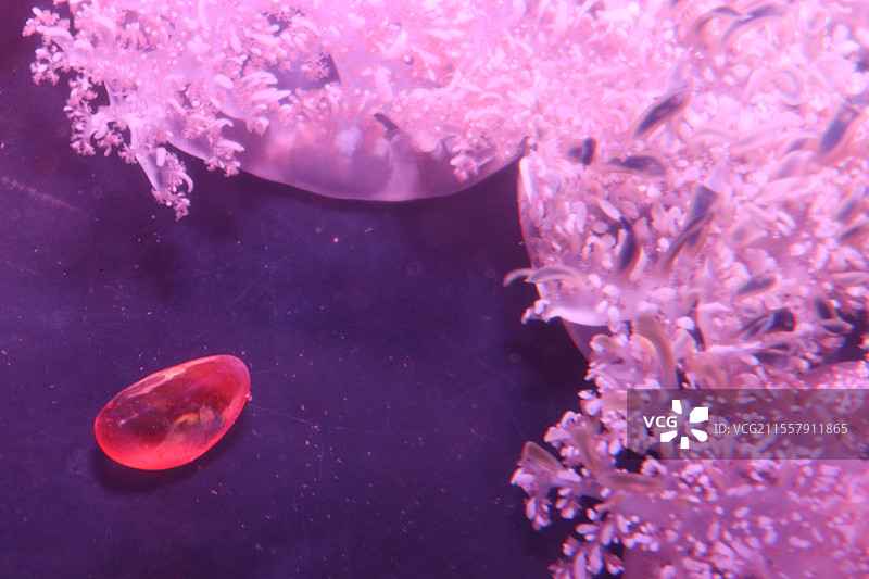 IMG_0863图片素材