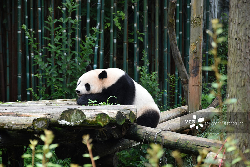 早啊，困啊图片素材