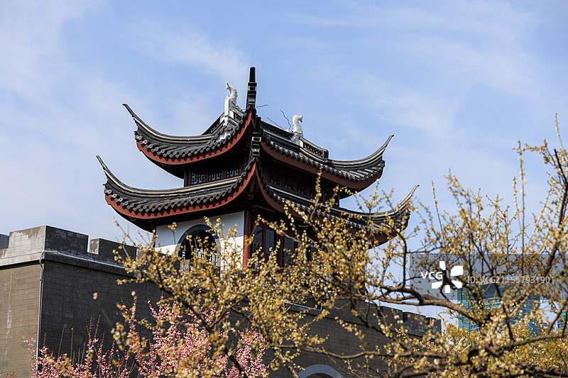 梅园公园图片素材