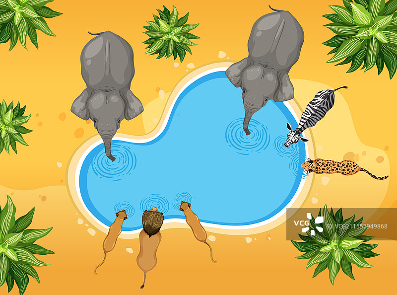 动物们在水源附近和平地聚集在一起图片素材