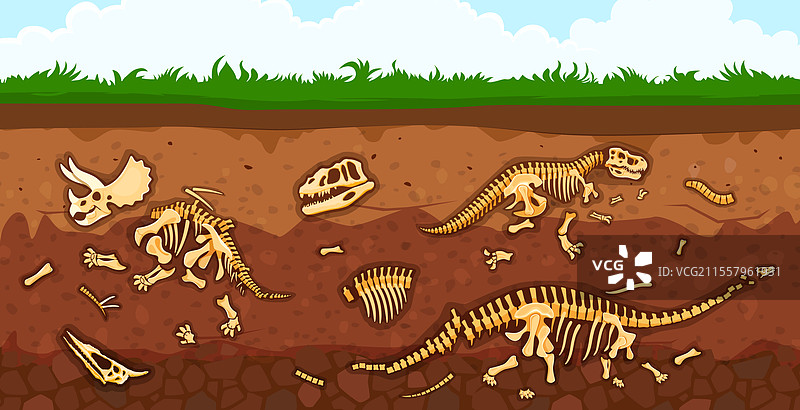 考古学中的恐龙化石骨骼埋藏在土层中图片素材