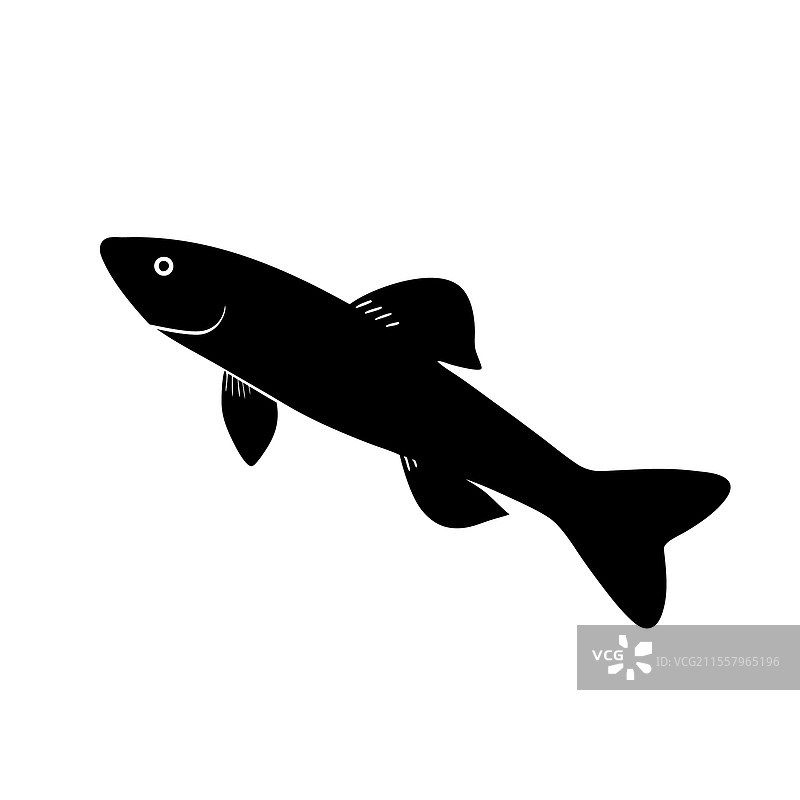 恩德勒活产鱼的剪影艺术与黑色图片素材