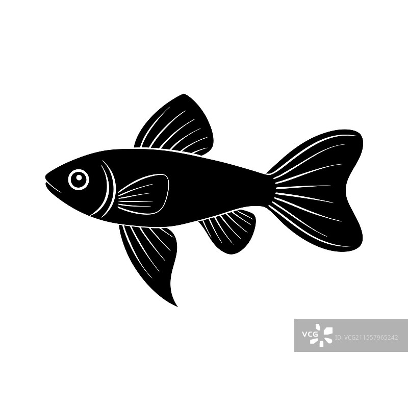 孔雀鱼剪影艺术与黑色孔雀鱼设计图片素材