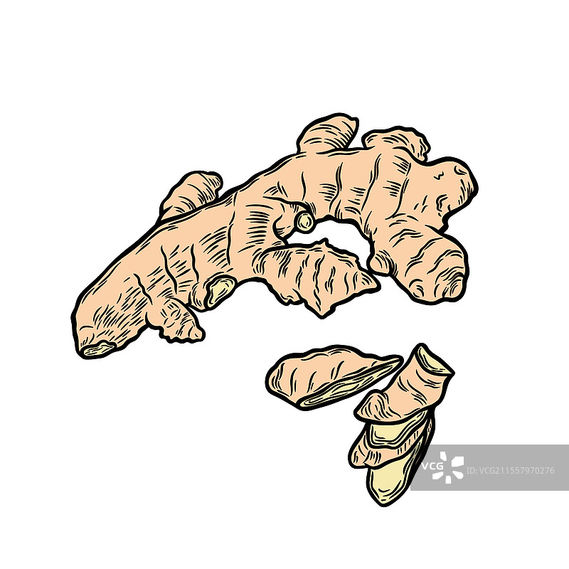 姜根以雕刻风格绘制图片素材