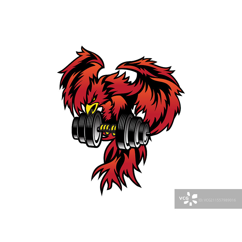 鸟儿举起重杠铃图片素材