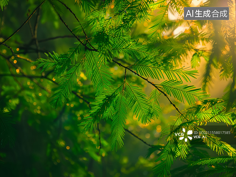 【AI数字艺术】晨雾森林的琥珀光影——翡翠绿天鹅绒背景下的自然诗意图片素材